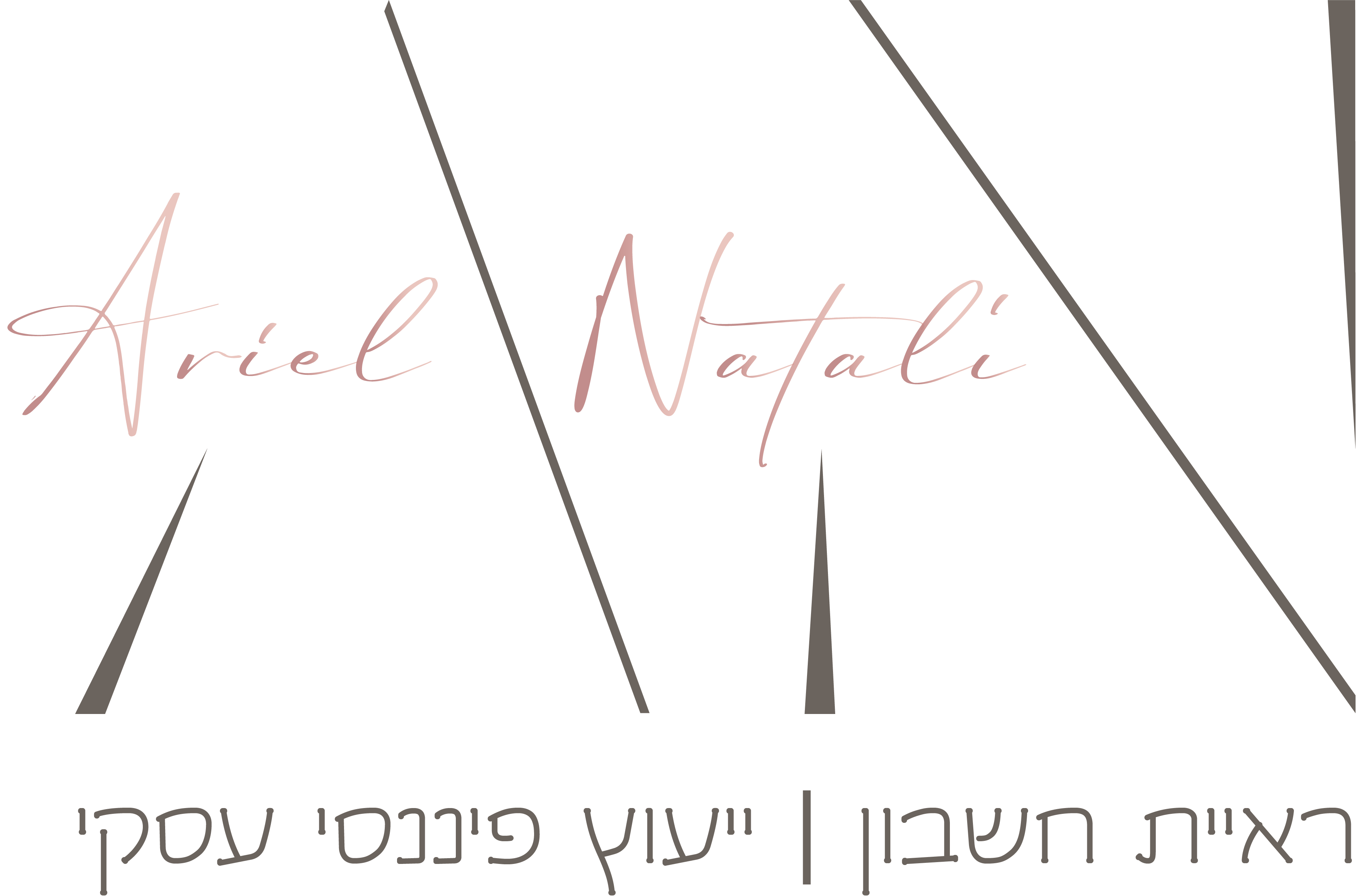נטלי אריאל | ראיית חשבון וייעוץ פיננסי עסקי